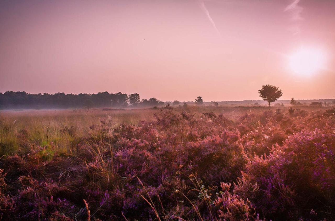 6-Persoons Veluwe Villa 부투이젠 외부 사진